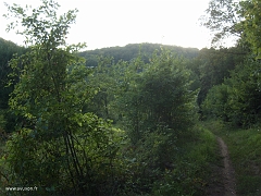 Le fond du vallon de la Burbach depuis le chemin du GR5